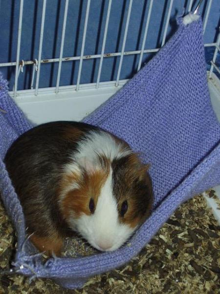 Jack
